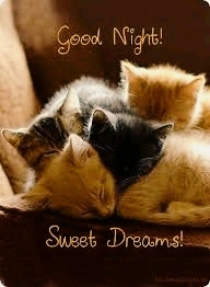 Good Night