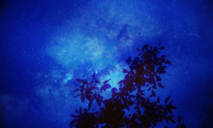 Stars, Night Sky & Tree