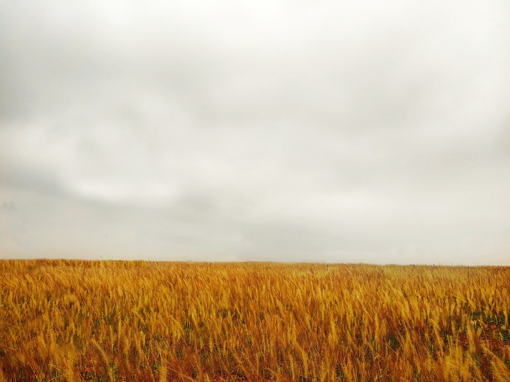 Dry Land