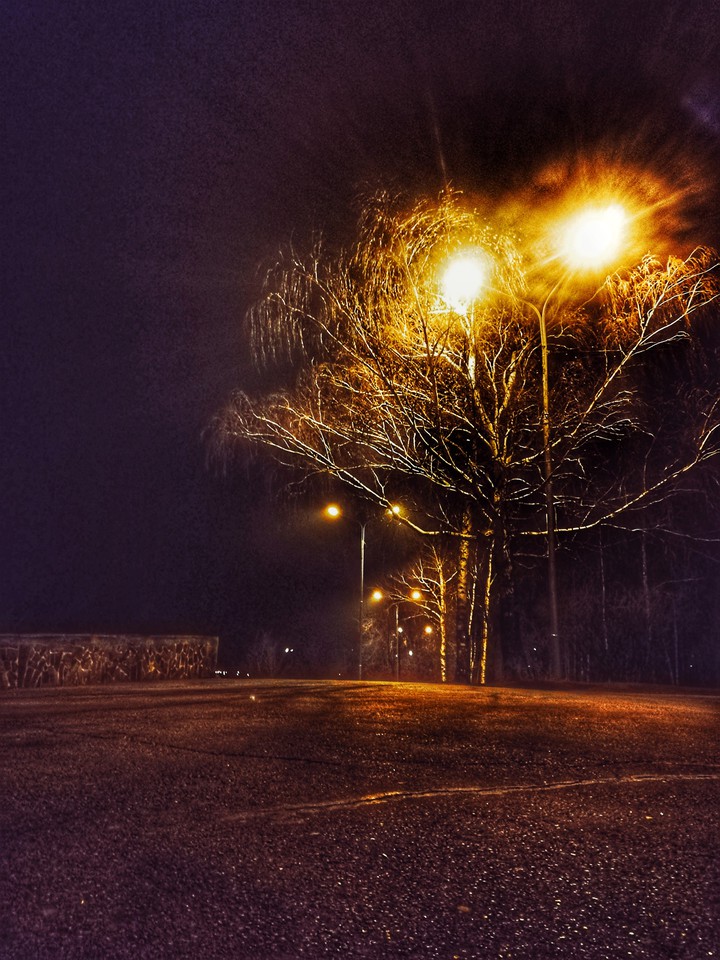 good night