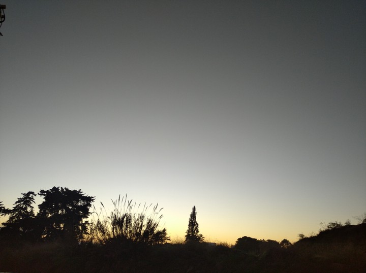 Mild Evening