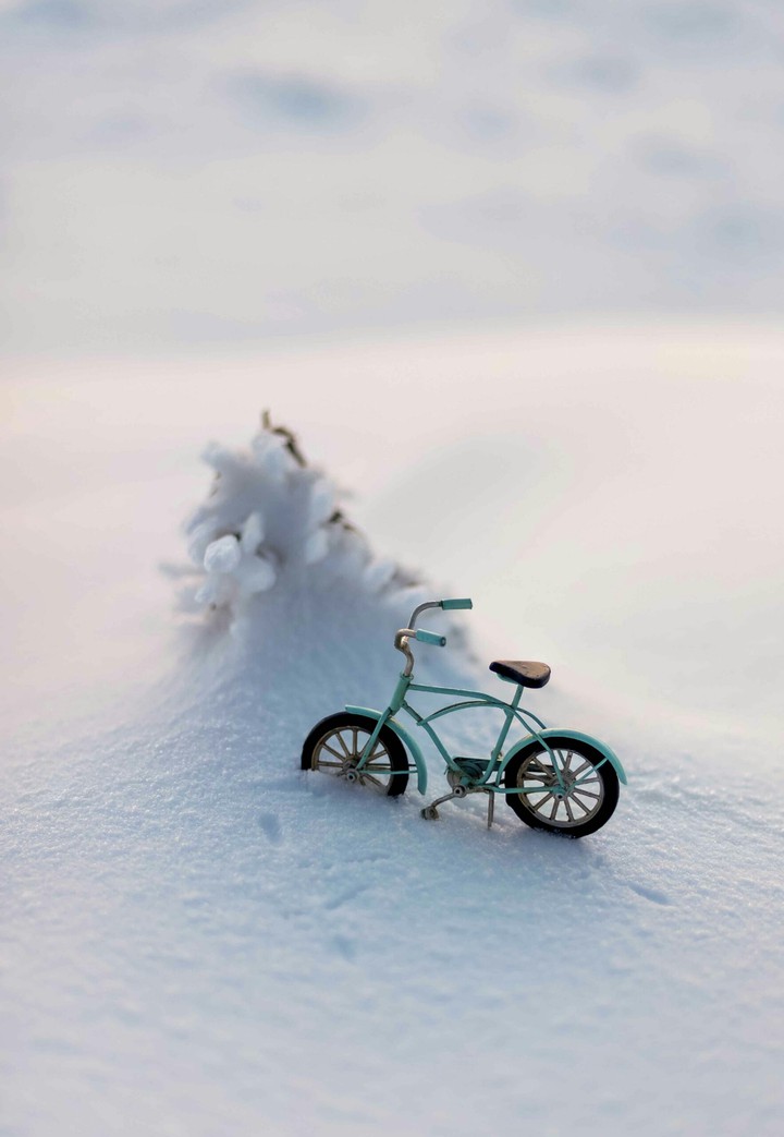 cycle