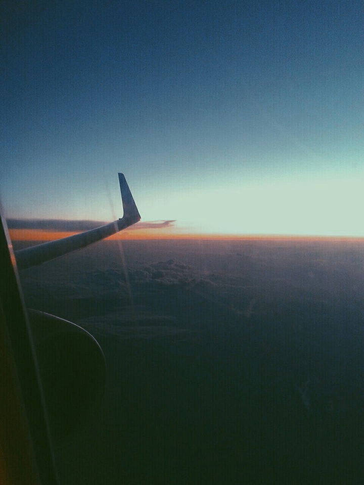 flight