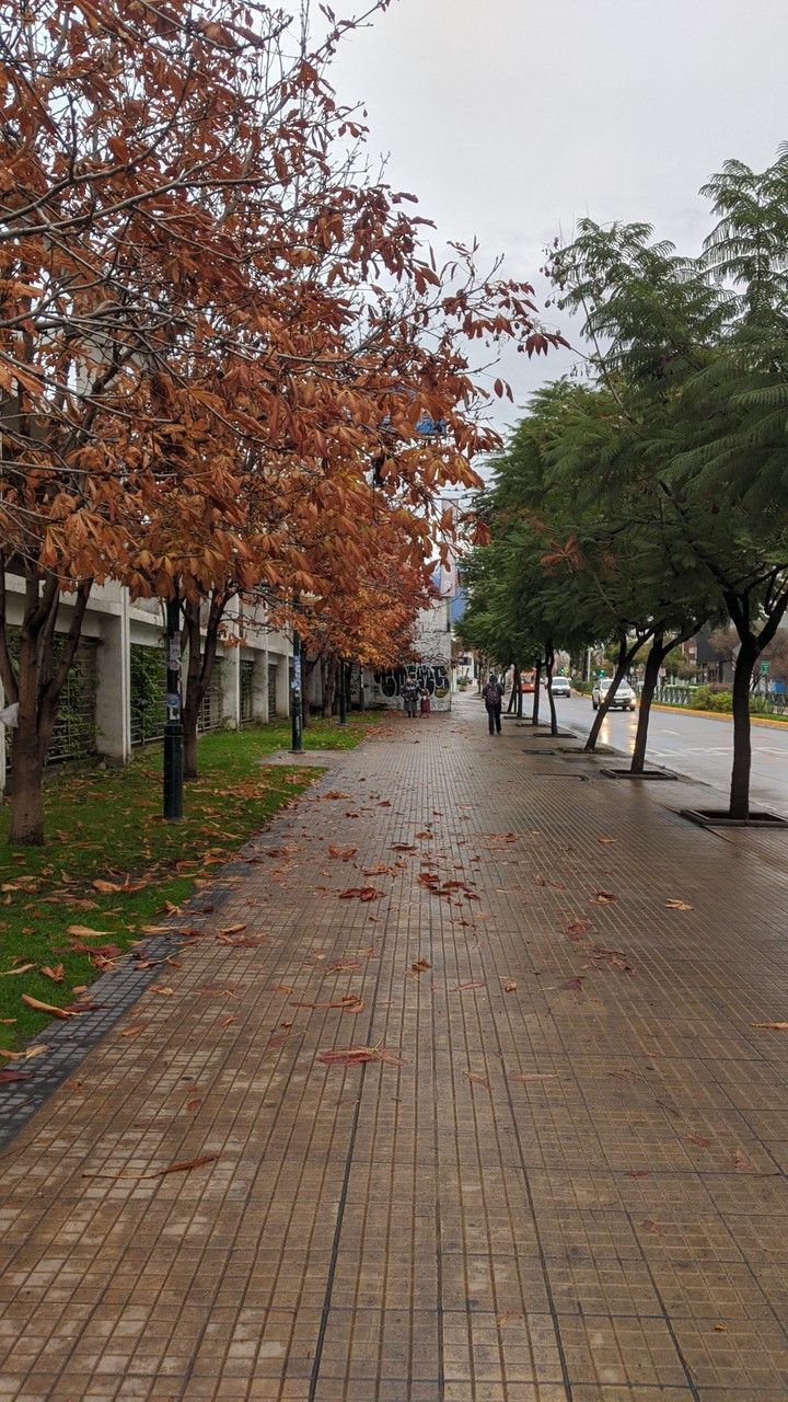 Comenzó el invierno