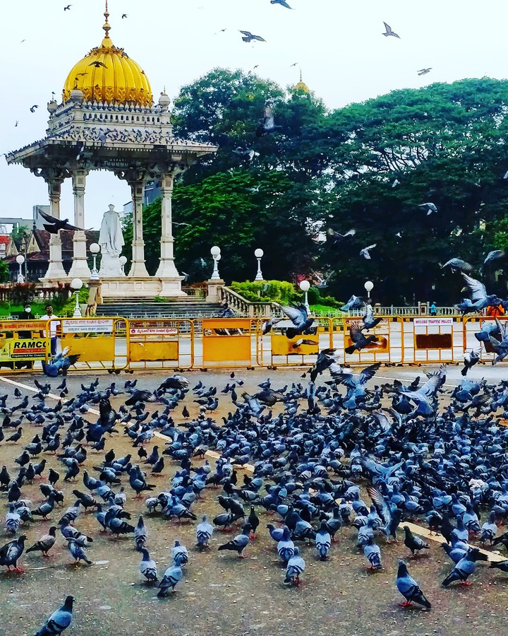 Mysore Palace - Early morning