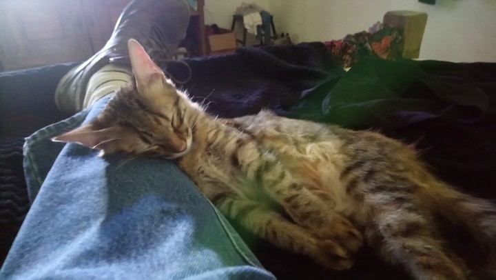 Kiki 5