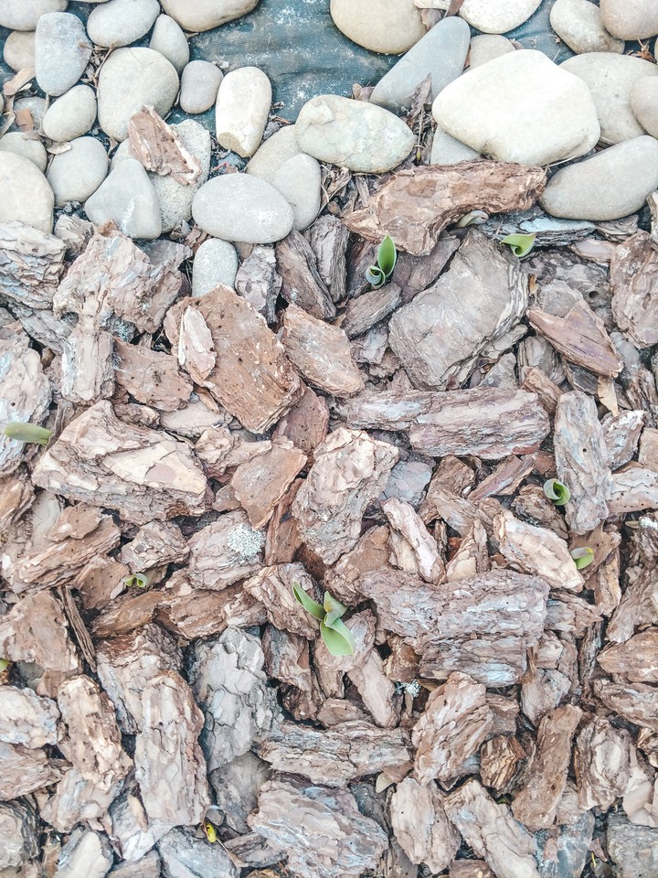 Spring is coming
