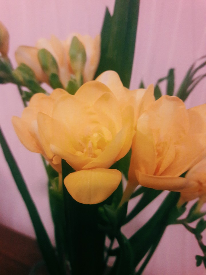 happy