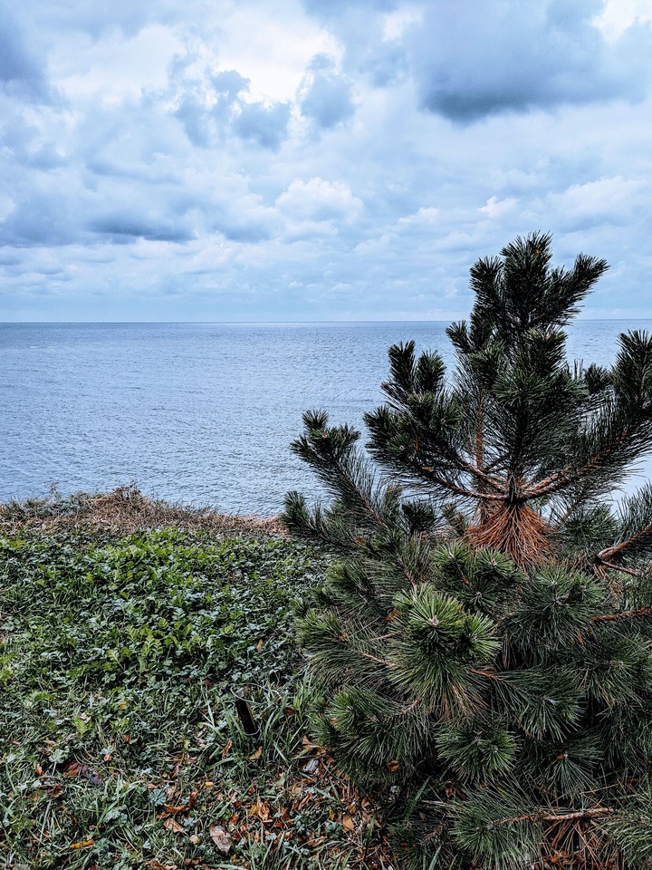 sea