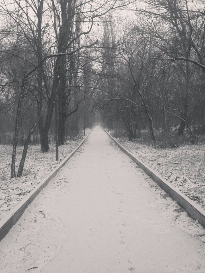 снег