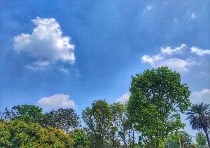 Beautiful Sky
