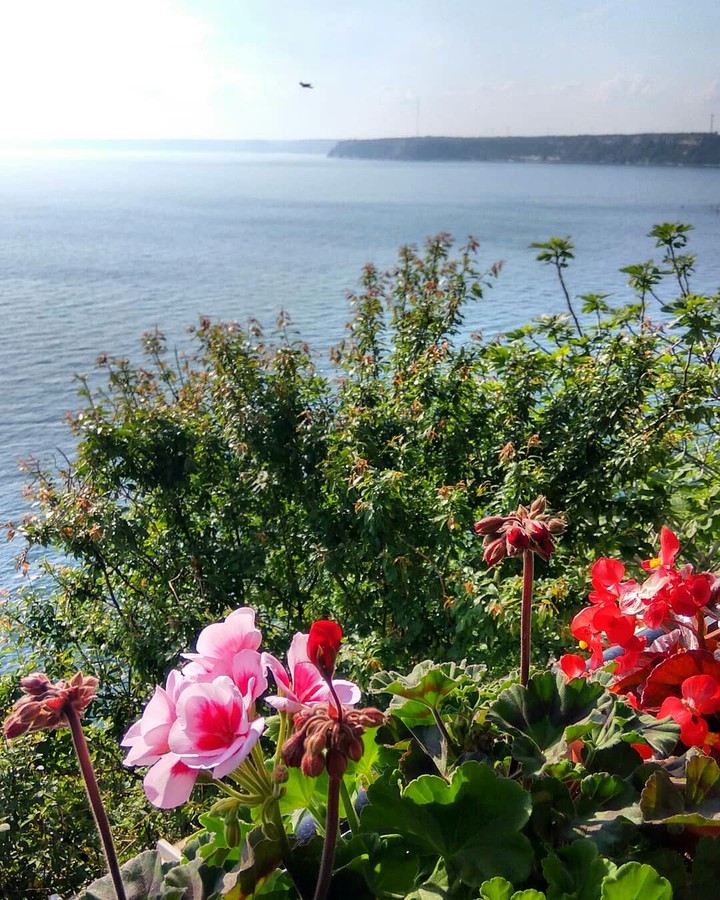 sea view