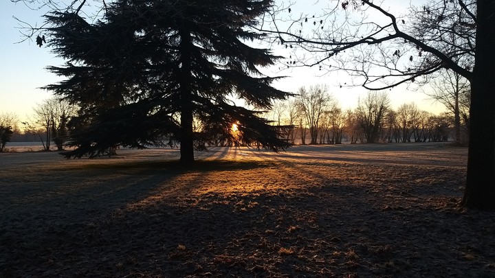 Sunrise in the park