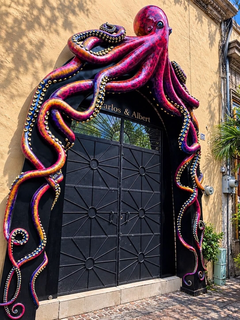 Octopus, Common_octopus, Cephalopod