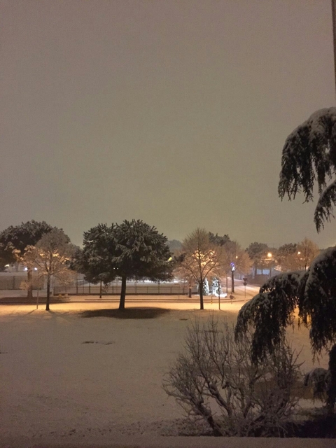 Snow