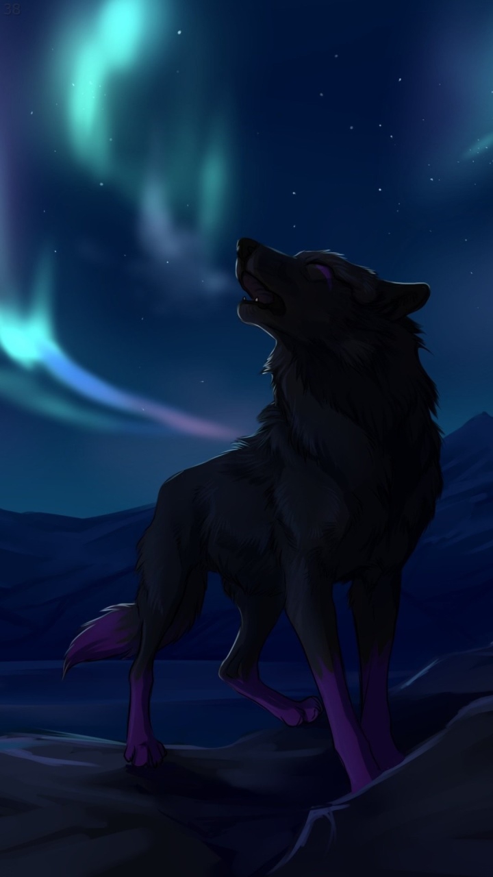 wolf