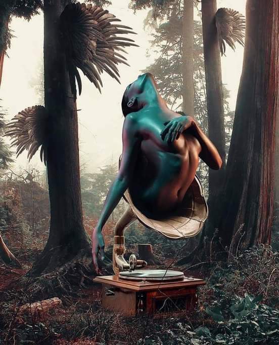 ،