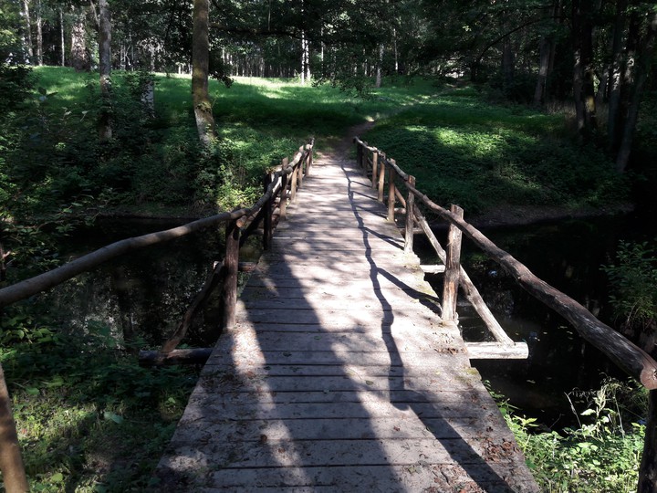 Wooden bridge