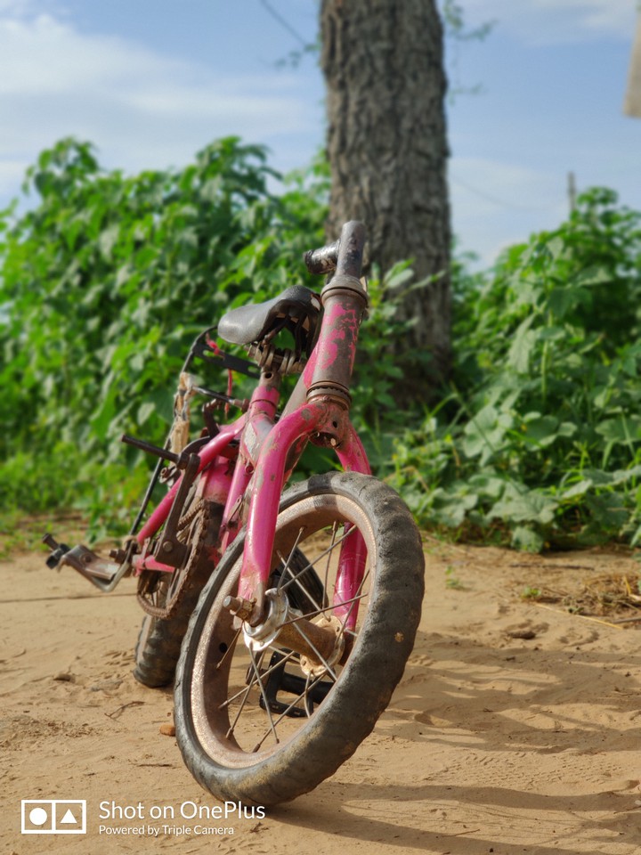 bicycle