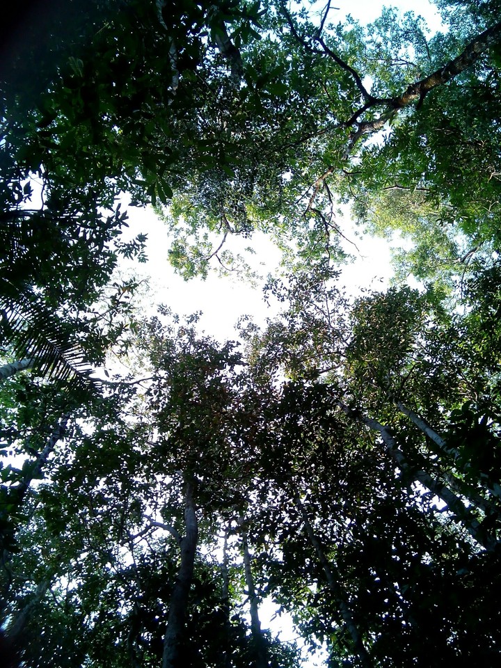 higher