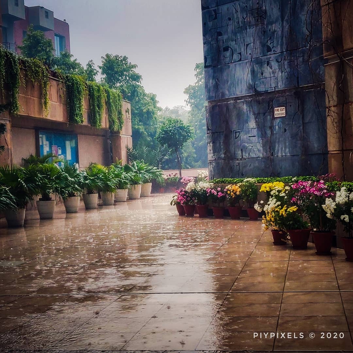 Rain