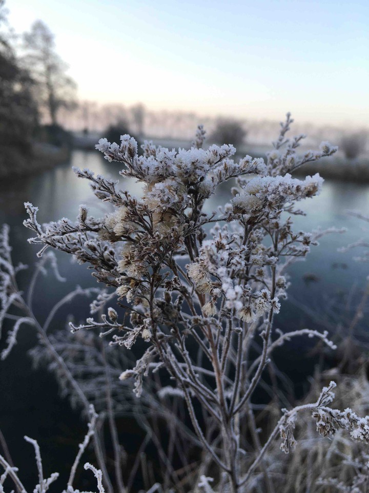 Snow