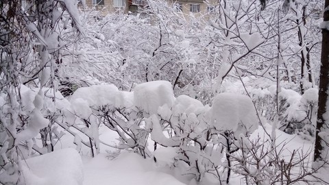 snow