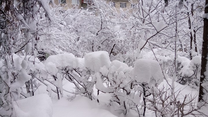 snow