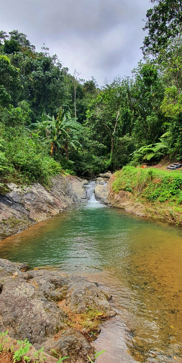Charco Muerto Utuado