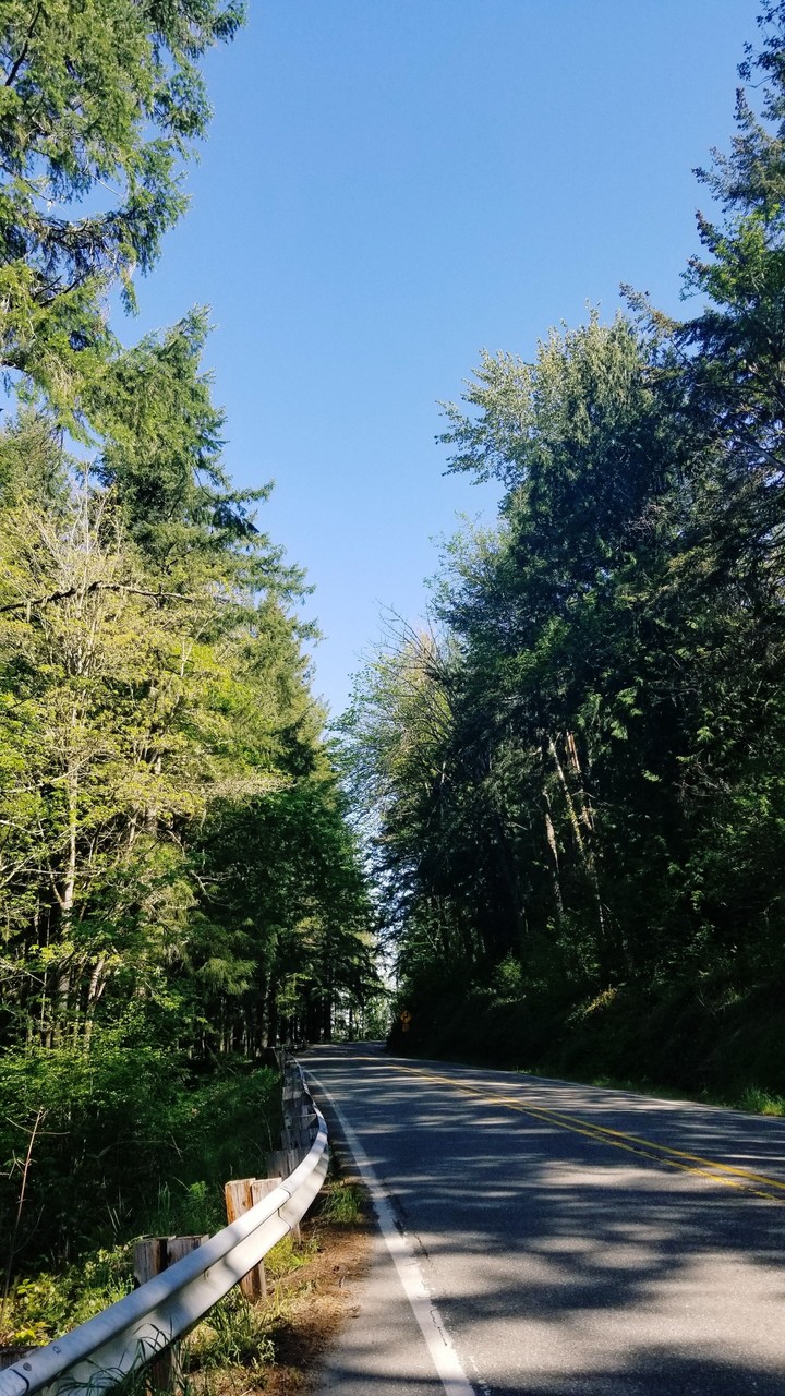drive in the PNW