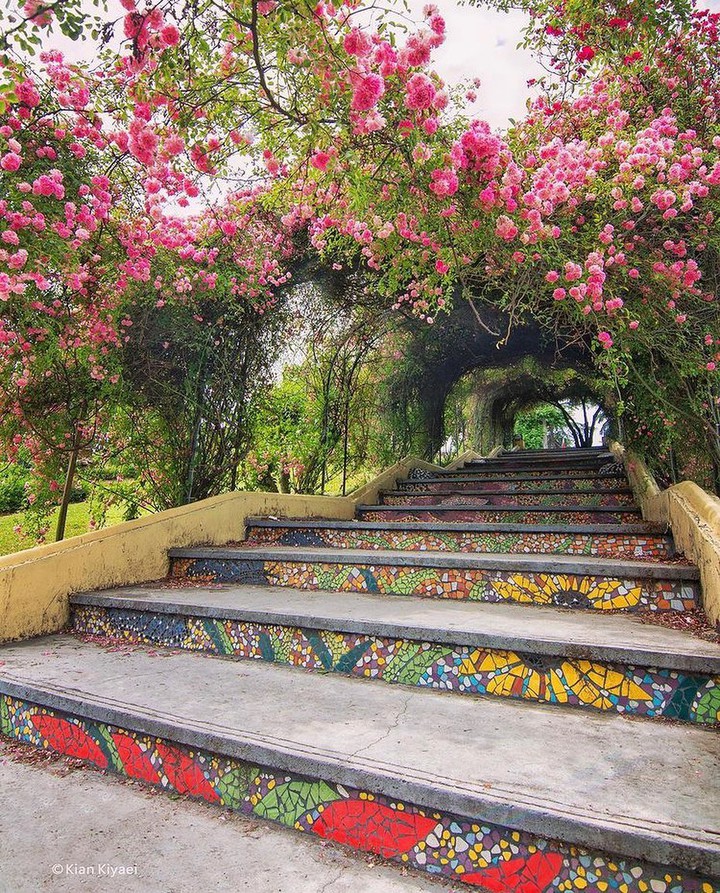 Lahijan Nature
