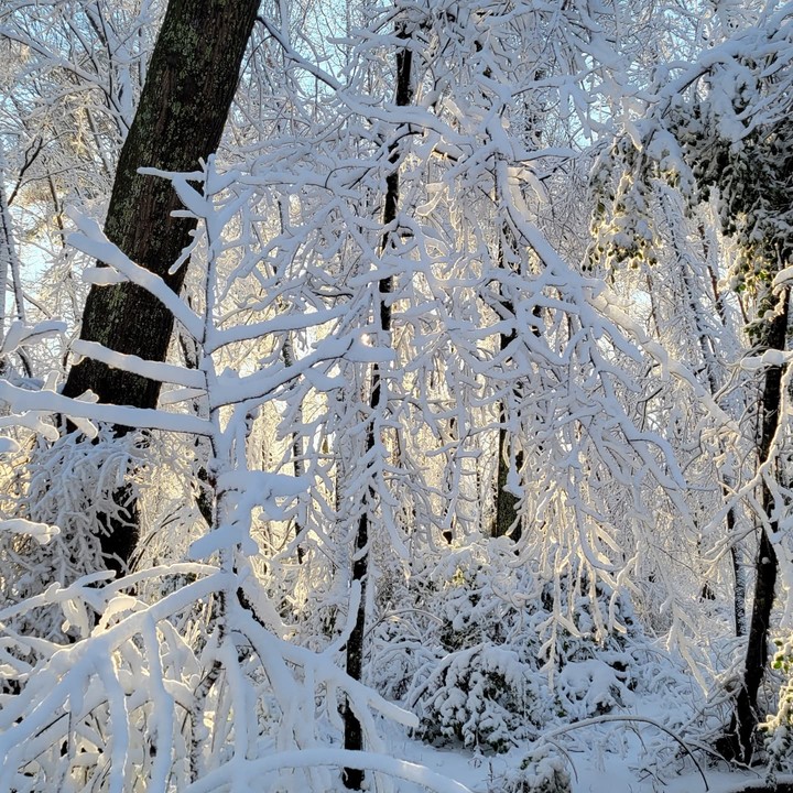 winter