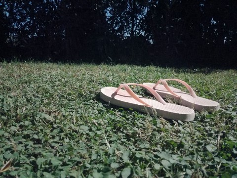 Summer day