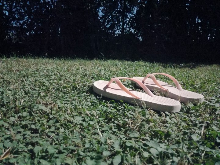 Summer day