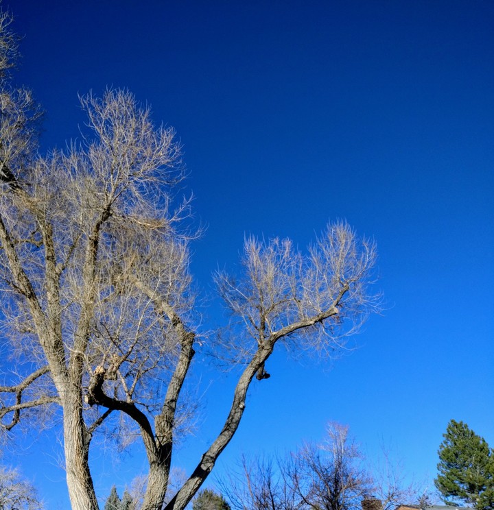 blue sky
