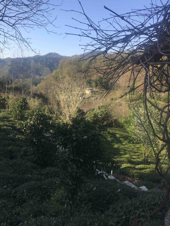 Iran lahijan province
