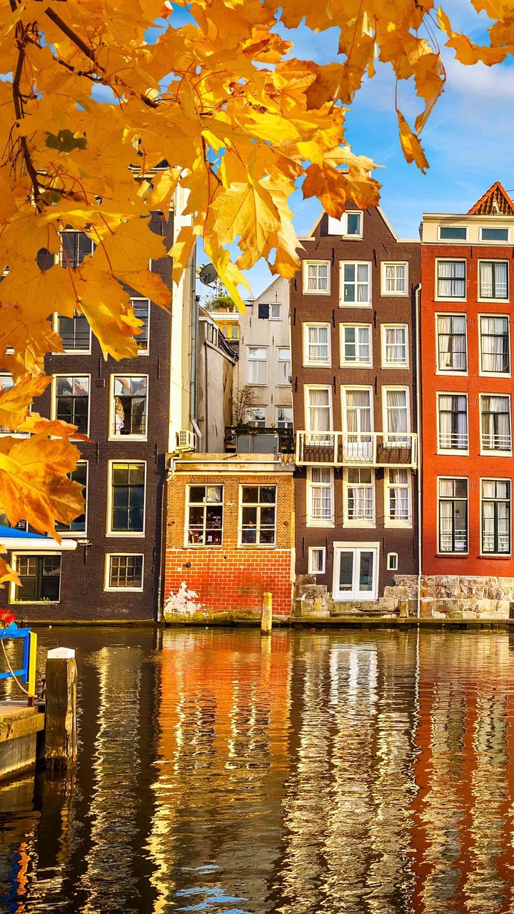 YELLOW TOWN