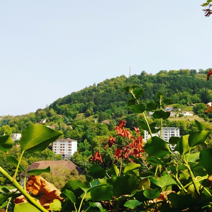 France nature