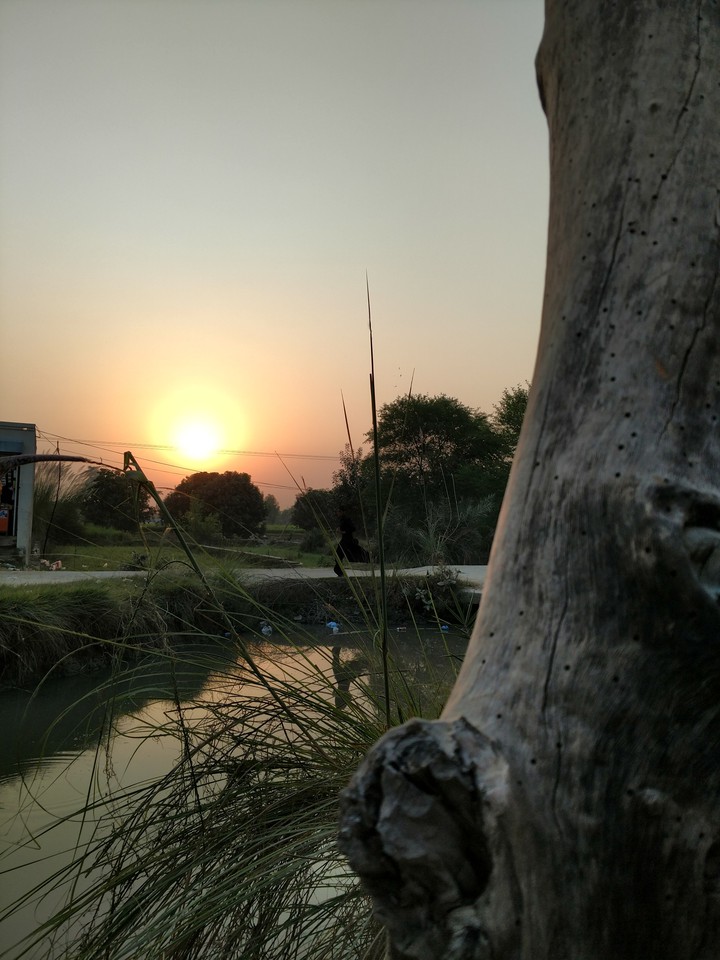Dawn