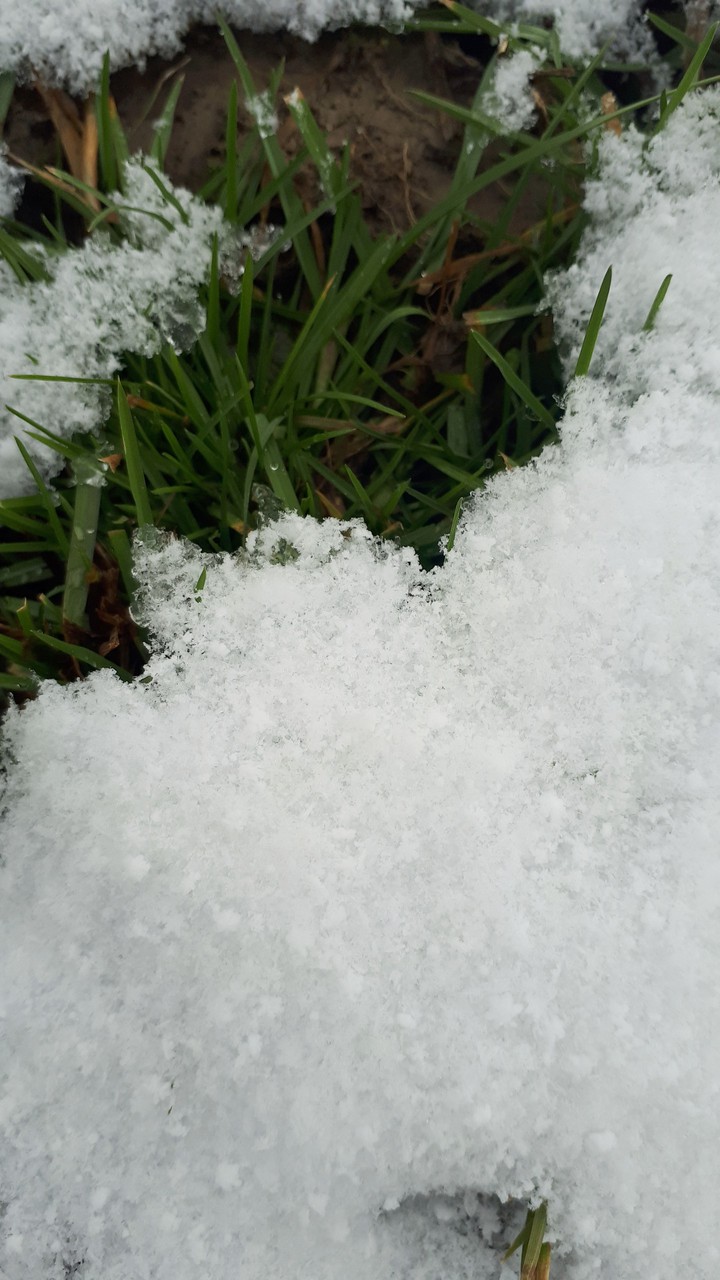 snow