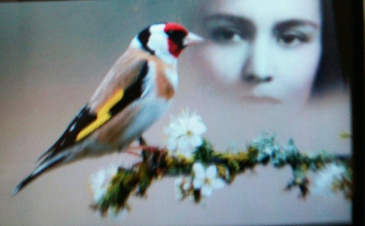 Madre naturaleza