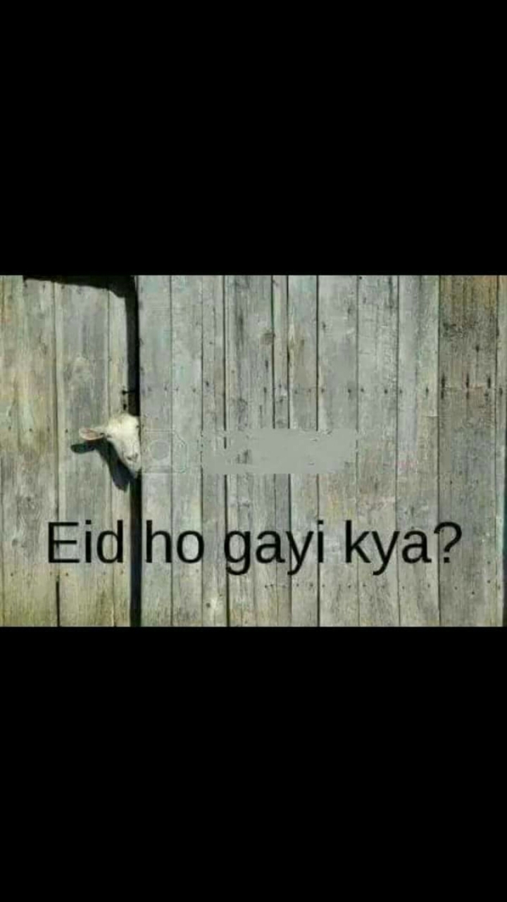 ( :