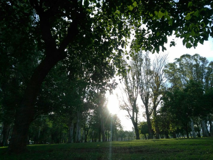 sunday peace