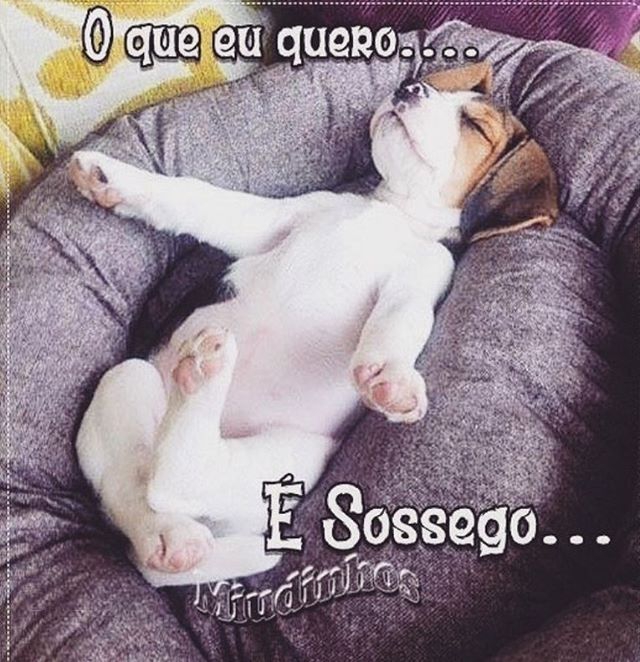 Aos amigos do coração bjs.