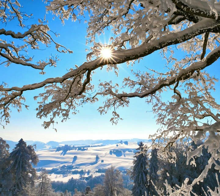 natural beauty