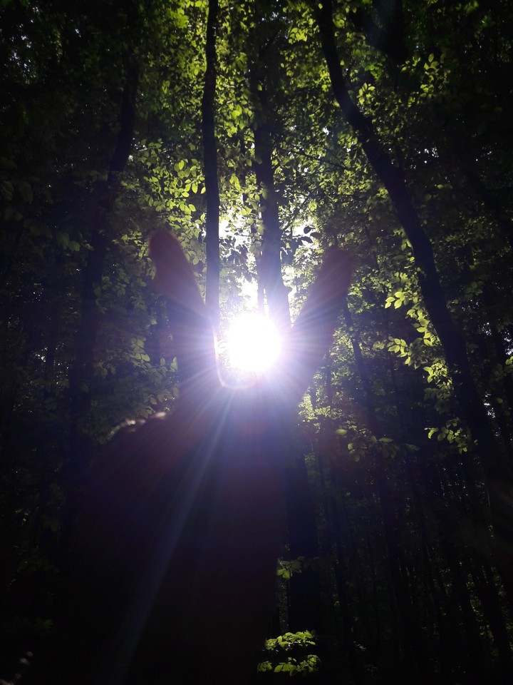 sun
