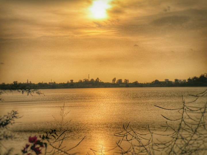 Nature
