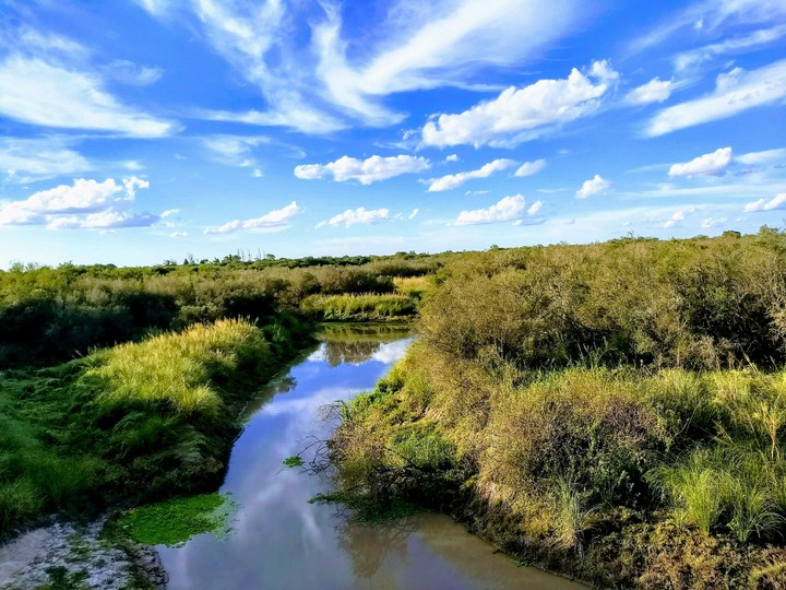 Naturaleza