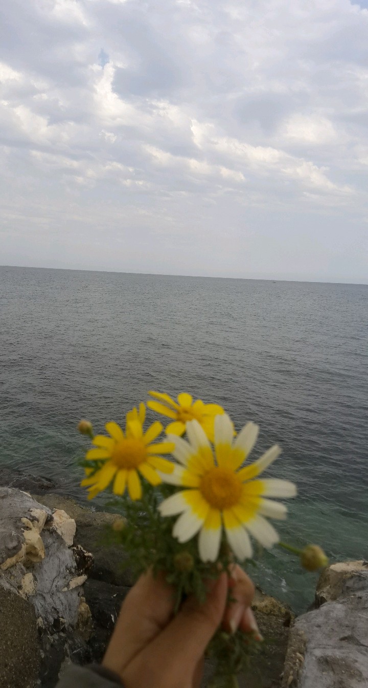 The beauty of my view...