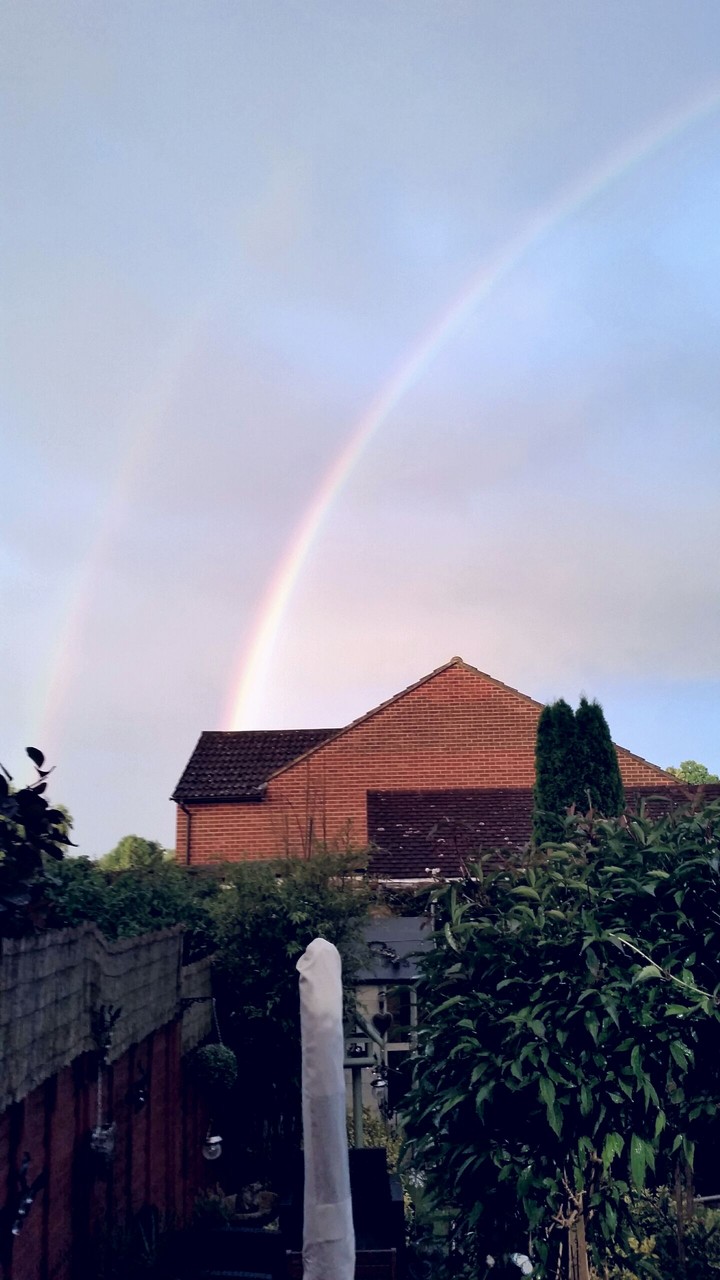 rainbow